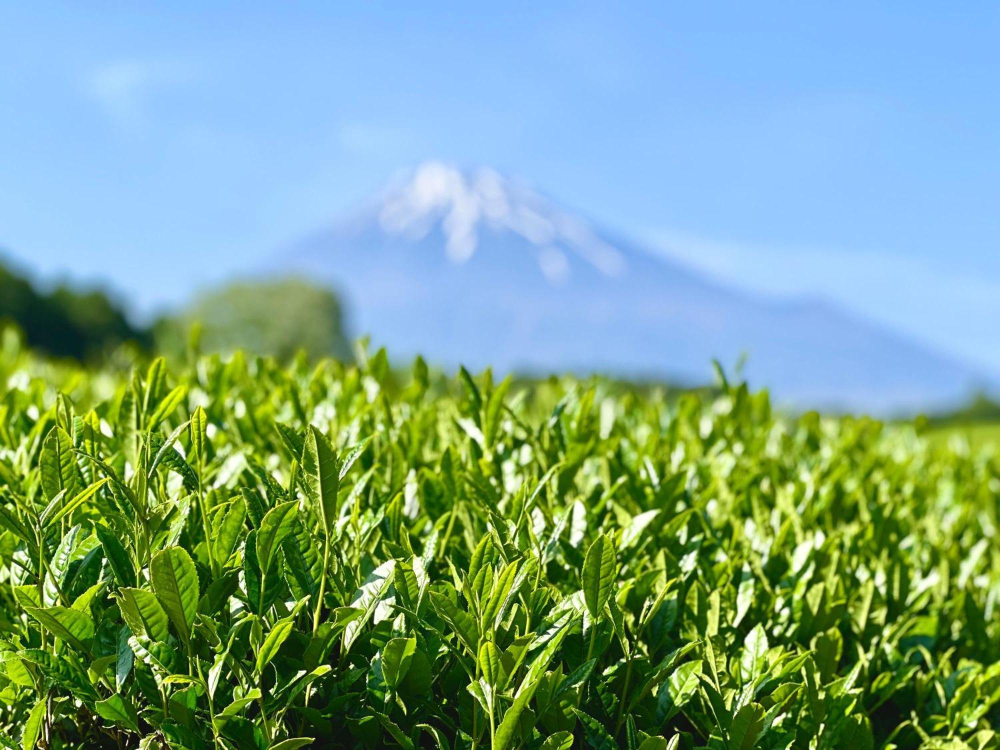 Hotel Tomioka-Ya Fujieda Ngoại thất bức ảnh